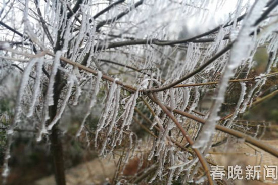 登昆明長蟲山 遇見詩情畫意的霧凇
