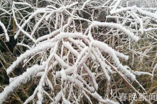 登昆明長蟲山 遇見詩情畫意的霧凇