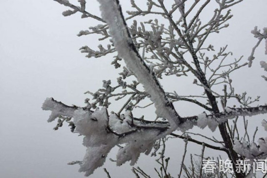 登昆明長蟲山 遇見詩情畫意的霧凇