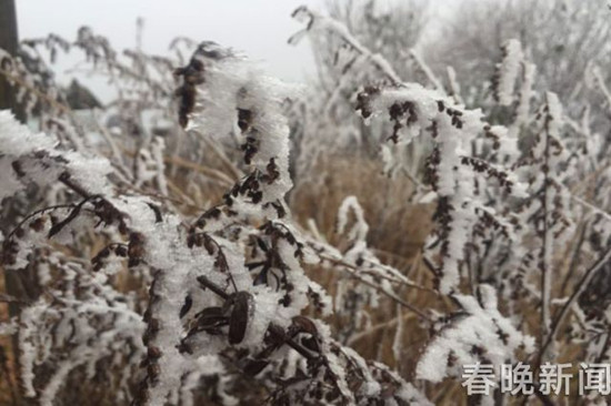 登昆明長蟲山 遇見詩情畫意的霧凇