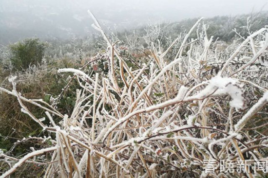 登昆明長蟲山 遇見詩情畫意的霧凇