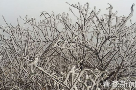 登昆明長蟲山 遇見詩情畫意的霧凇