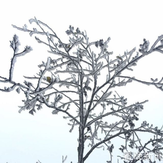 登昆明長蟲山 遇見詩情畫意的霧凇
