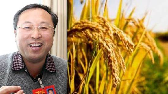 【中國(guó)夢(mèng)實(shí)踐者】潘國(guó)君：創(chuàng)新+韌勁培育精品 為糧食安全保駕護(hù)航