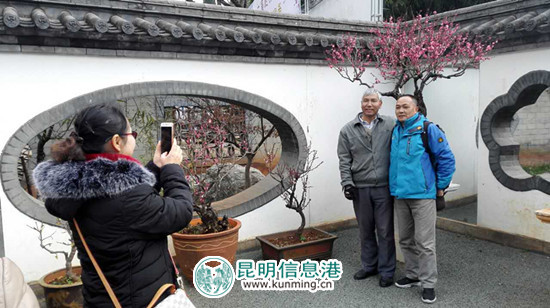 市民在盆景作品前合影留念 市民在盆景作品前合影留念