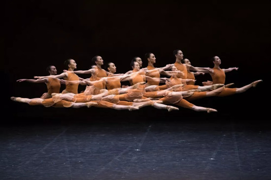 重磅丨2017新華社年度照片精選