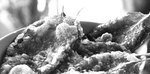 這樣的美食讓'好食材'變身'壞食物' 這樣的美食讓'好食材'變身'壞食物'