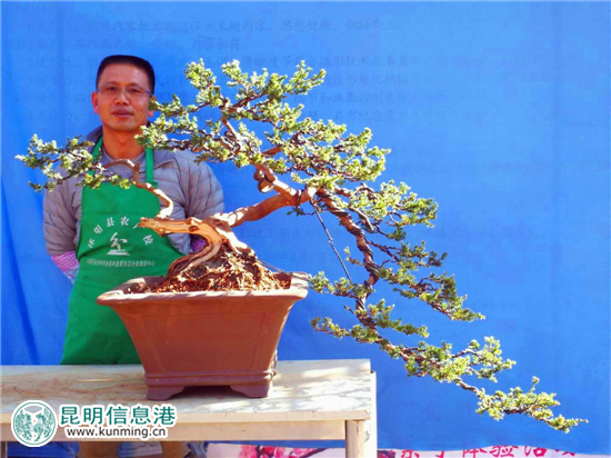 賞花騎車觀盆景 黑龍?zhí)豆珗@大寒節(jié)氣活動多精彩足 賞花騎車觀盆景 黑龍?zhí)豆珗@大寒節(jié)氣活動多精彩足