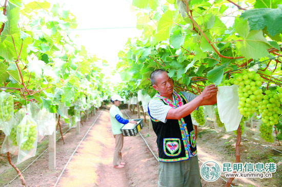 祿勸：決戰(zhàn)脫貧攻堅決勝全面小康 奮力開創(chuàng)跨越發(fā)展新局面