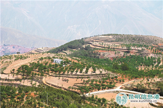 【新時(shí)代有話(huà)說(shuō)】奮力開(kāi)創(chuàng)幸福美麗新銅都建設(shè)新局面