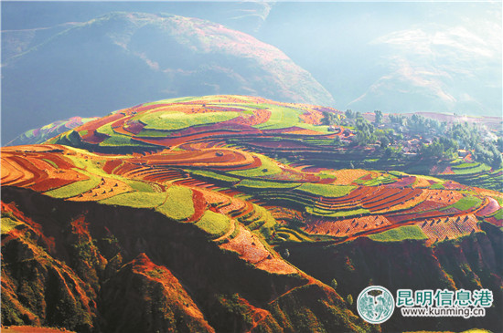 【新時(shí)代有話(huà)說(shuō)】奮力開(kāi)創(chuàng)幸福美麗新銅都建設(shè)新局面