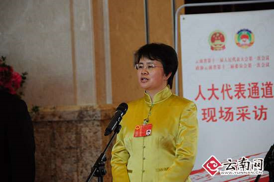 云南兩會(huì)首設(shè)“代表通道” 人大代表現(xiàn)場(chǎng)談履職話發(fā)展謀思路 云南兩會(huì)首設(shè)“代表通道” 人大代表現(xiàn)場(chǎng)談履職話發(fā)展謀思路