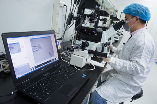 世界生命科學重大突破 兩只克隆猴在中國誕生