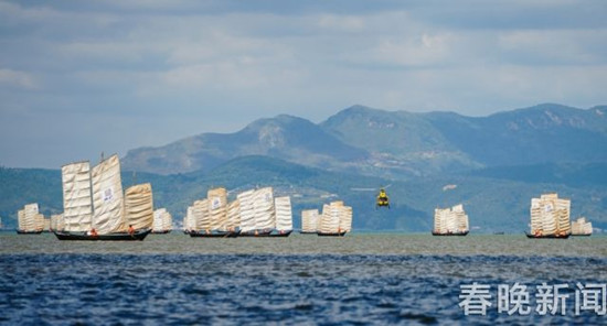 楊繼武/攝 楊繼武/攝