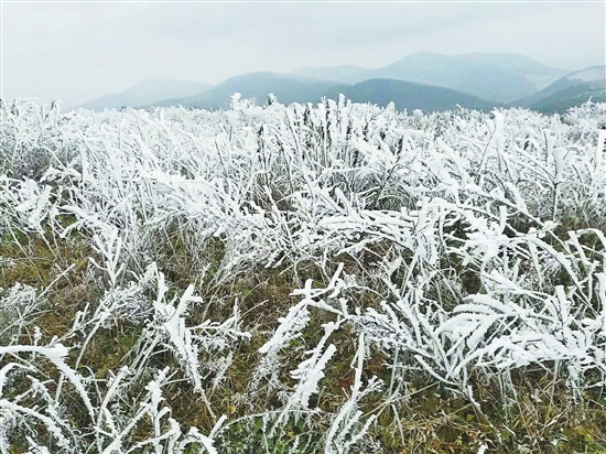 晉寧六街鎮(zhèn)現霧凇景觀 晉寧六街鎮(zhèn)現霧凇景觀