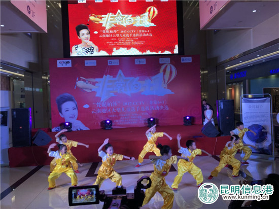 武術(shù)表演 武術(shù)表演