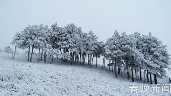 冰雪封凍下鶴舞高原 昭通大山包美出新境界 冰雪封凍下鶴舞高原 昭通大山包美出新境界