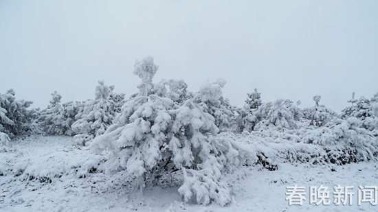 冰雪封凍下鶴舞高原 昭通大山包美出新境界 冰雪封凍下鶴舞高原 昭通大山包美出新境界