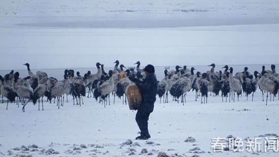 冰雪封凍下鶴舞高原 昭通大山包美出新境界 冰雪封凍下鶴舞高原 昭通大山包美出新境界