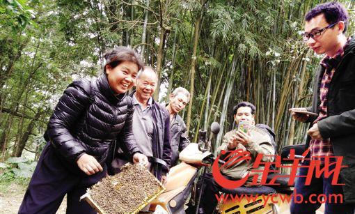 【中國夢·踐行者】她是都市小蜜蜂 身殘志堅(jiān)“釀造”甜蜜生活 【中國夢·踐行者】她是都市小蜜蜂 身殘志堅(jiān)“釀造”甜蜜生活