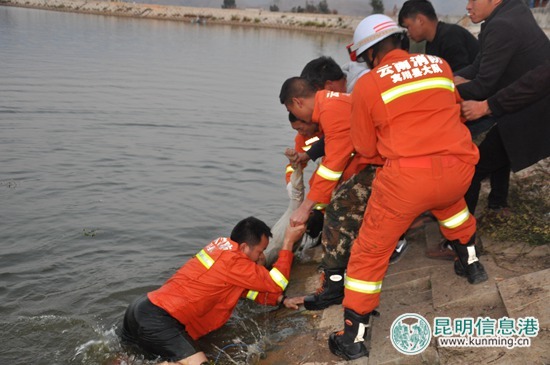 大理賓川兩名女孩跌落水庫 消防官兵緊急救援