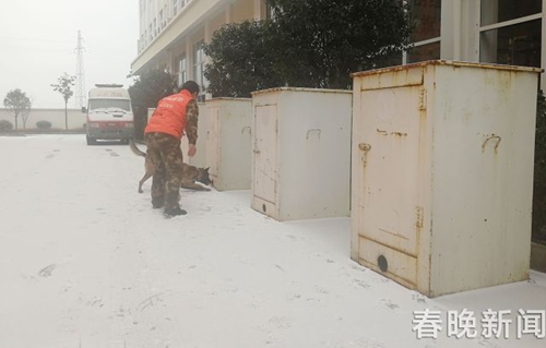 消防隊(duì)搜救犬不一般 冰天雪地苦練功