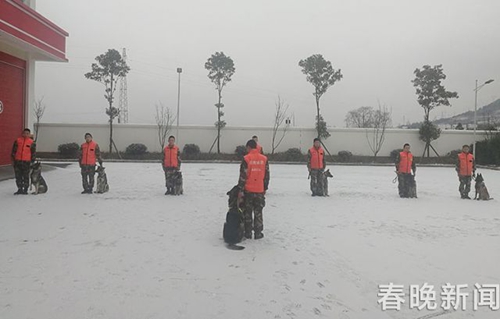 消防隊(duì)搜救犬不一般 冰天雪地苦練功