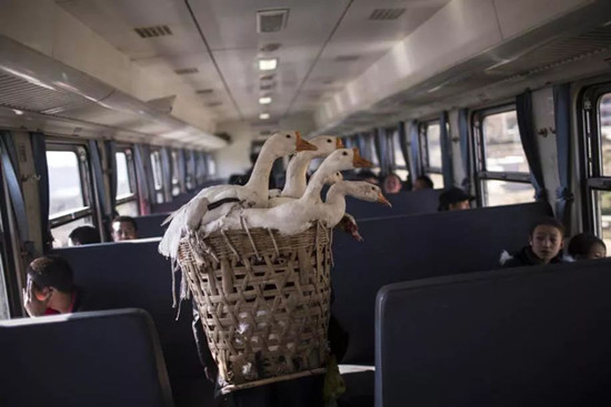 穿行大涼山的慢火車(chē):票價(jià)低至兩元 穿行大涼山的慢火車(chē):票價(jià)低至兩元