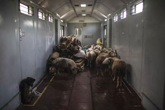 穿行大涼山的慢火車(chē):票價(jià)低至兩元 穿行大涼山的慢火車(chē):票價(jià)低至兩元