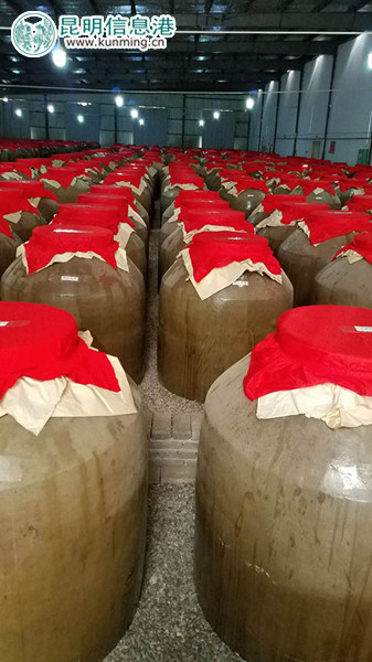 酒窖塵封的西紅花酒。供圖