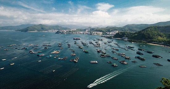 網(wǎng)絡(luò)媒體走轉(zhuǎn)改|文化+旅游+生態(tài) 未來南澳墟鎮(zhèn)將顛覆想象 網(wǎng)絡(luò)媒體走轉(zhuǎn)改|文化+旅游+生態(tài) 未來南澳墟鎮(zhèn)將顛覆想象