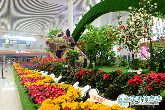 春節(jié)黃金周 中國鐵路昆明局集團(tuán)有限公司發(fā)送旅客101.9萬人