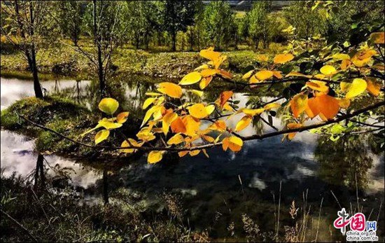 甘孜雅礱江畔 感受濕地的壯闊之美