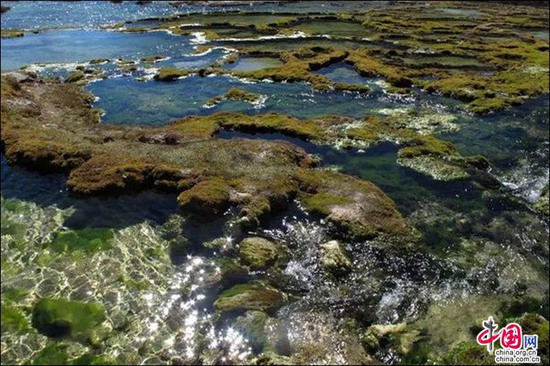 甘孜雅礱江畔 感受濕地的壯闊之美 甘孜雅礱江畔 感受濕地的壯闊之美