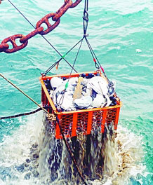 “南海Ⅰ號(hào)”完整展示宋代社會(huì)