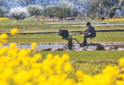 “一號文件”在基層 “一號文件”在基層