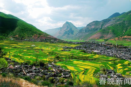 美似油畫！長江第一灣2000多畝油菜花次第盛放