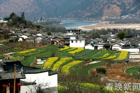 美似油畫！長江第一灣2000多畝油菜花次第盛放