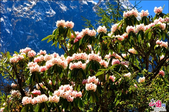 環(huán)貢嘎旅游線——燕子溝白雪紅石醉人心 環(huán)貢嘎旅游線——燕子溝白雪紅石醉人心