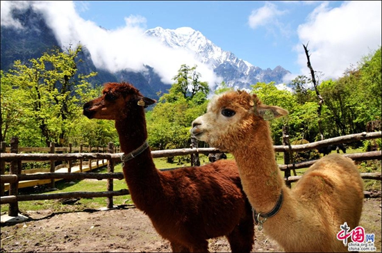 環(huán)貢嘎旅游線——燕子溝白雪紅石醉人心 環(huán)貢嘎旅游線——燕子溝白雪紅石醉人心