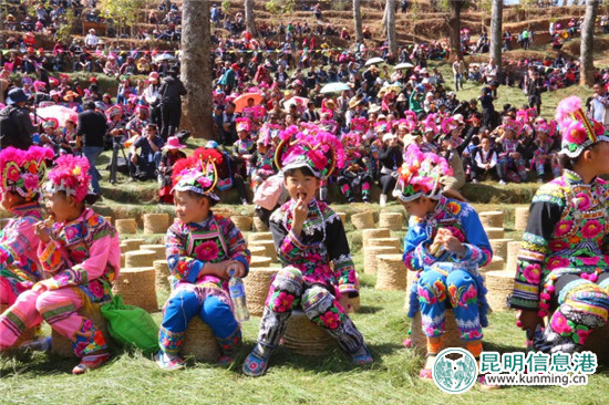 元宵節(jié)到永仁賽裝節(jié)看“世界最古老的T臺show”