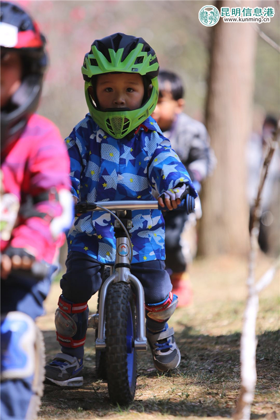 第十八屆春城桃花文化節(jié)在郊野公園絢麗啟幕 第十八屆春城桃花文化節(jié)在郊野公園絢麗啟幕