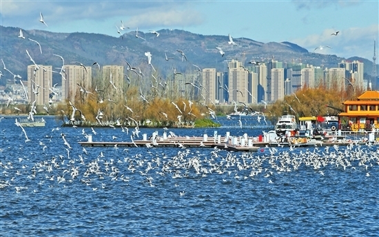 三省全國代表委員共話河長制：滇池與湘江太湖的“對話”