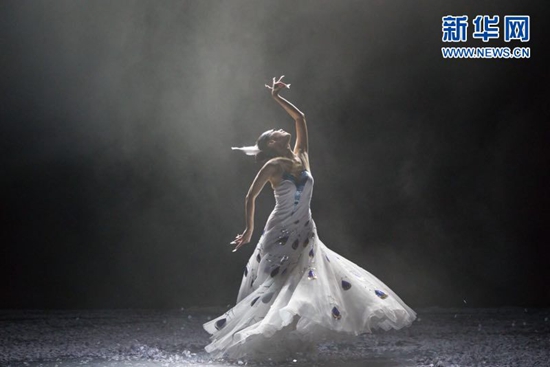 楊麗萍表演《雀之靈》 楊麗萍表演《雀之靈》