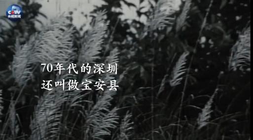 從深圳到雄安