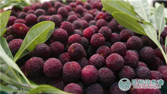 探索智慧旅游服務(wù)新模式 “富民旅游”平臺(tái)上線