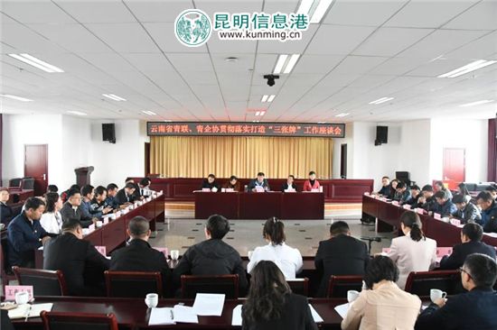 云南如何打好“三張牌”？ 省青聯(lián)委員和青企協(xié)會員建言獻(xiàn)策