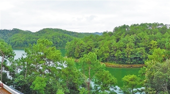 普洱:發(fā)揮生態(tài)優(yōu)勢 做大“綠色經(jīng)濟” 普洱:發(fā)揮生態(tài)優(yōu)勢 做大“綠色經(jīng)濟”