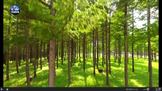 央視推出微視頻《美麗中國(guó)說(shuō)》 央視推出微視頻《美麗中國(guó)說(shuō)》