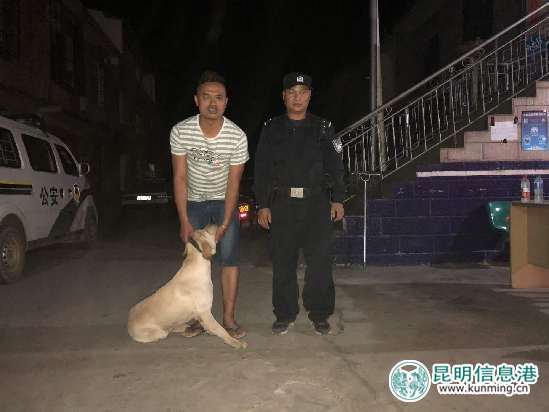 向警察求助的狗狗 向警察求助的狗狗